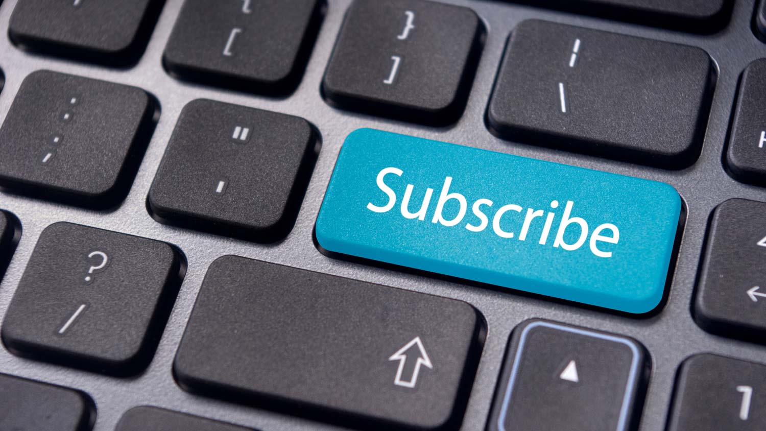 Jacksonville small business owner activating their website subscription service